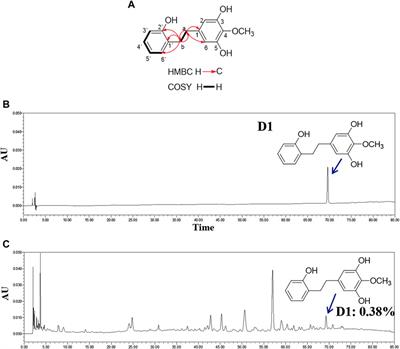 In vitro Non-Small Cell Lung Cancer Inhibitory Effect by New Diphenylethane Isolated From Stems and Leaves of <mark class="highlighted">Dioscorea</mark> oppositifolia L. via ERβ-STAT3 Pathway